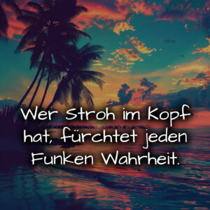 1716376882664dd5325d56c