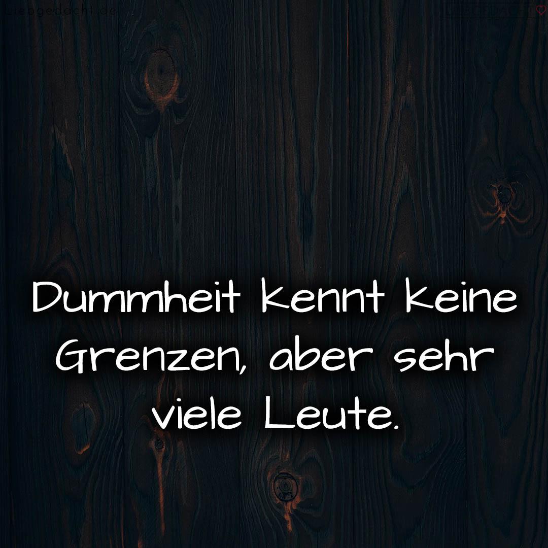 1716376888664dd538584d9