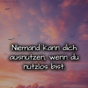 1716376891664dd53b21148