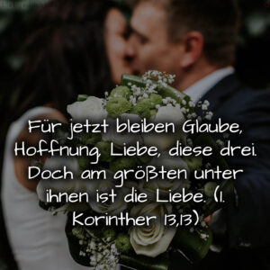 1716376965664dd585da465