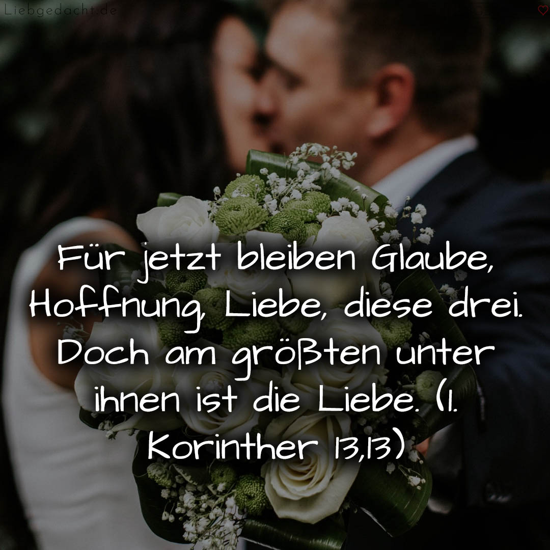 1716376965664dd585da465