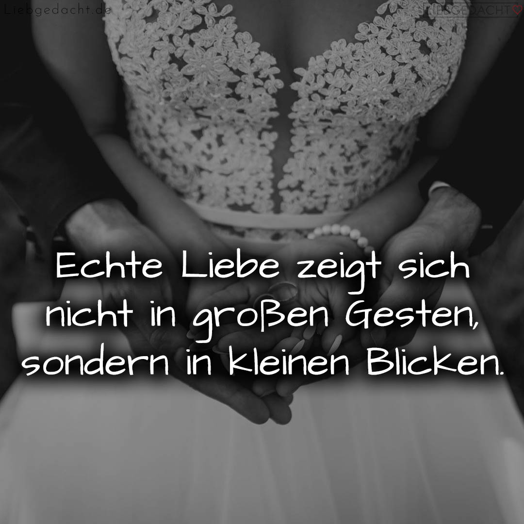 1716377008664dd5b0c7a12