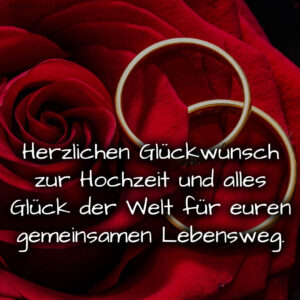 1716377037664dd5cd9e446