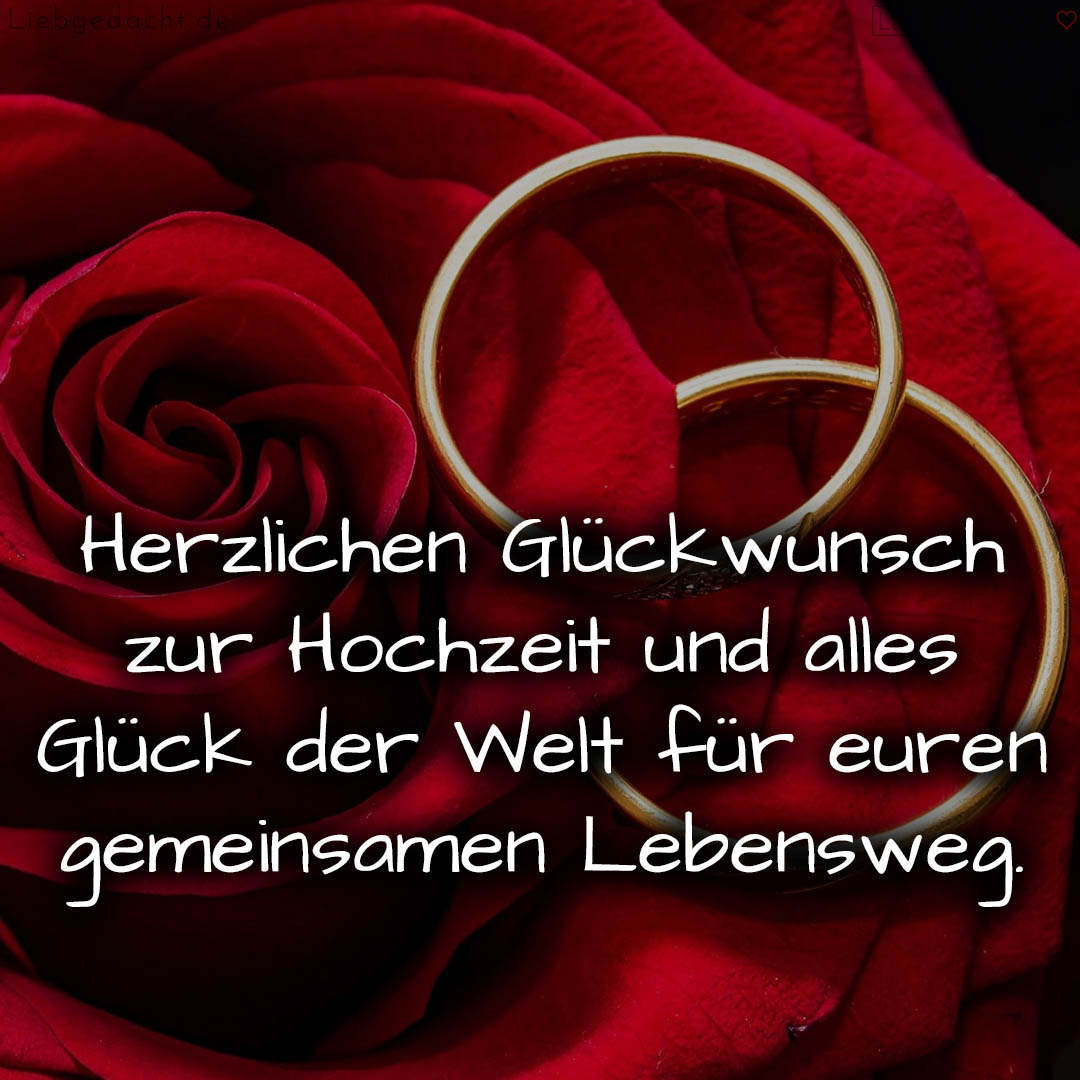 1716377037664dd5cd9e446