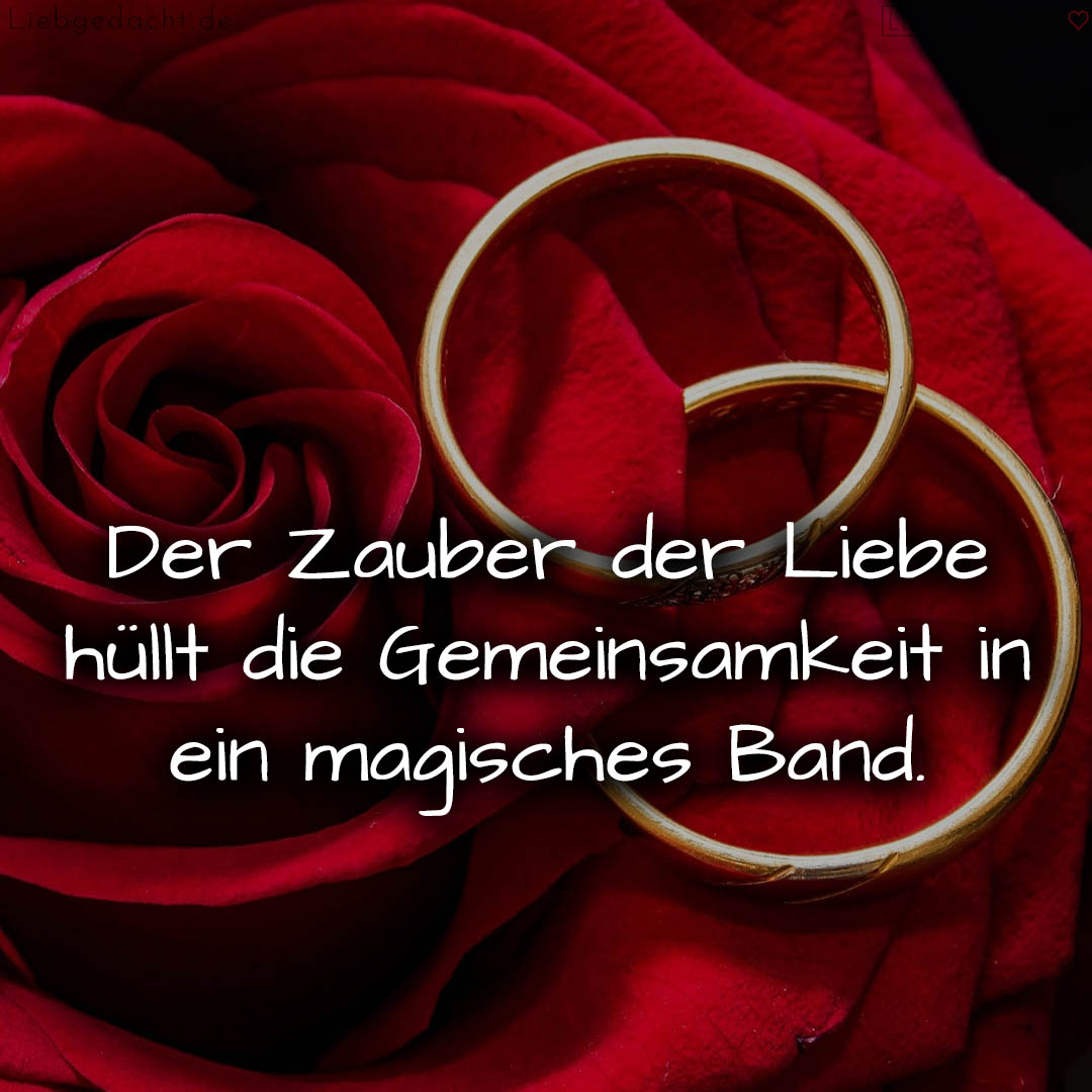 1716377045664dd5d5265c8