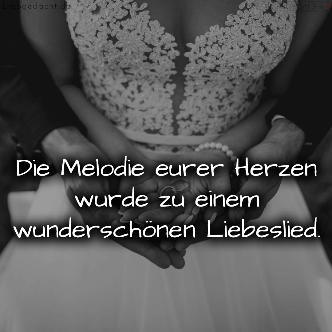 1716377061664dd5e5d16b6