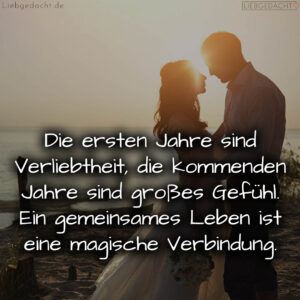 1716377117664dd61d8e8d5