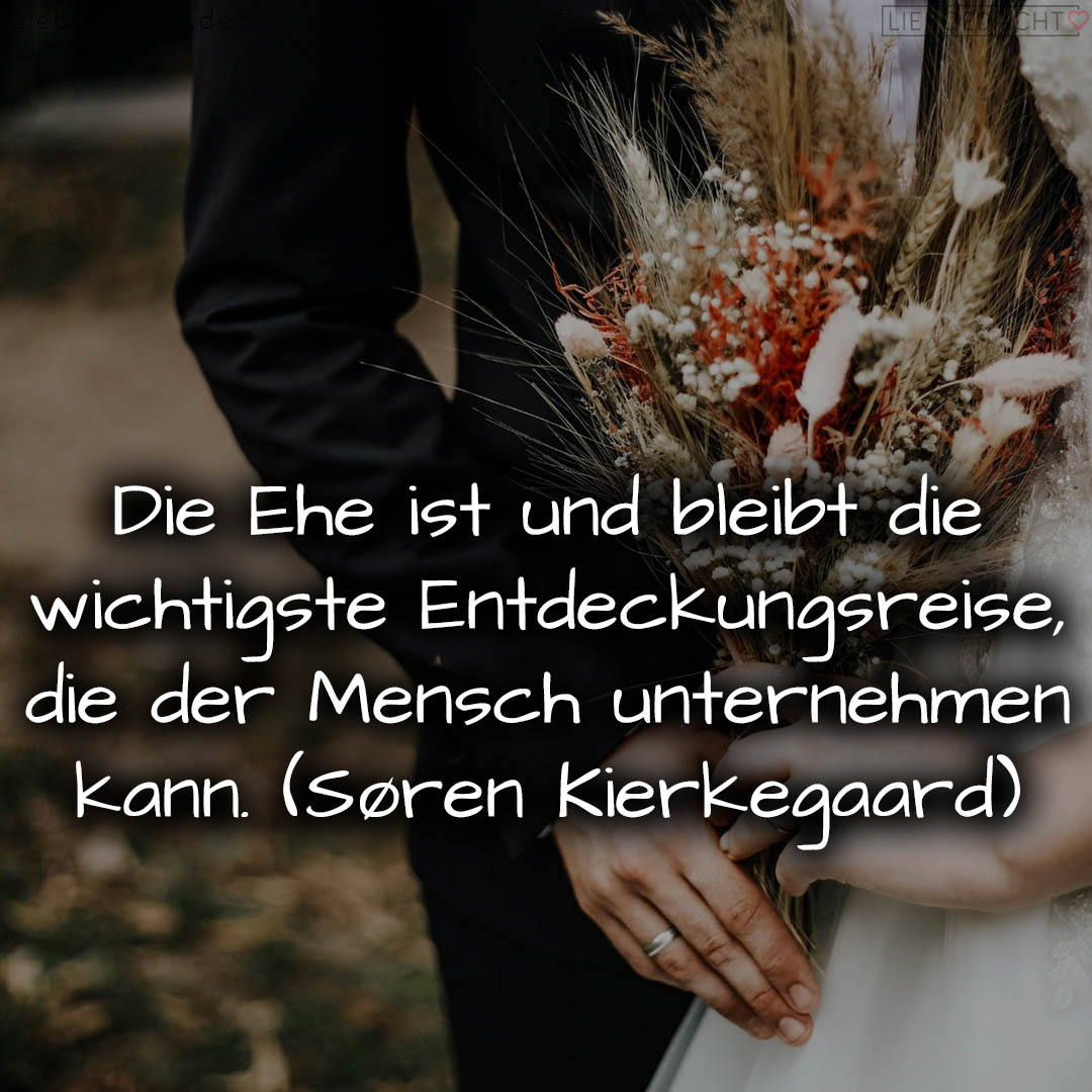 1716377126664dd62652036