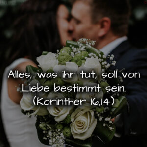 1716377140664dd6341ba32