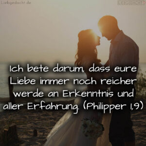 1716377141664dd63528853