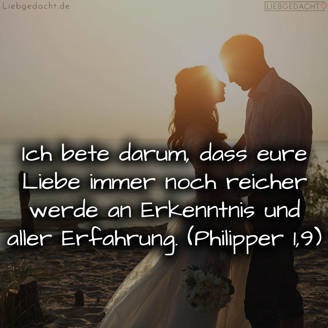 1716377141664dd63528853