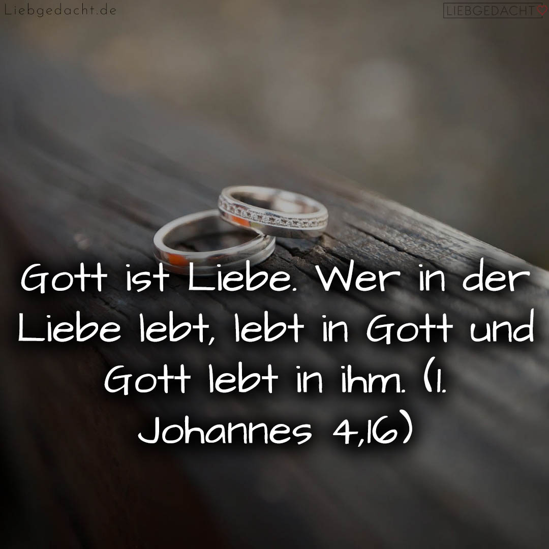 1716377146664dd63aa16b4