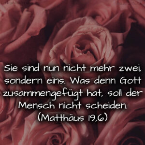 1716377155664dd6433973c