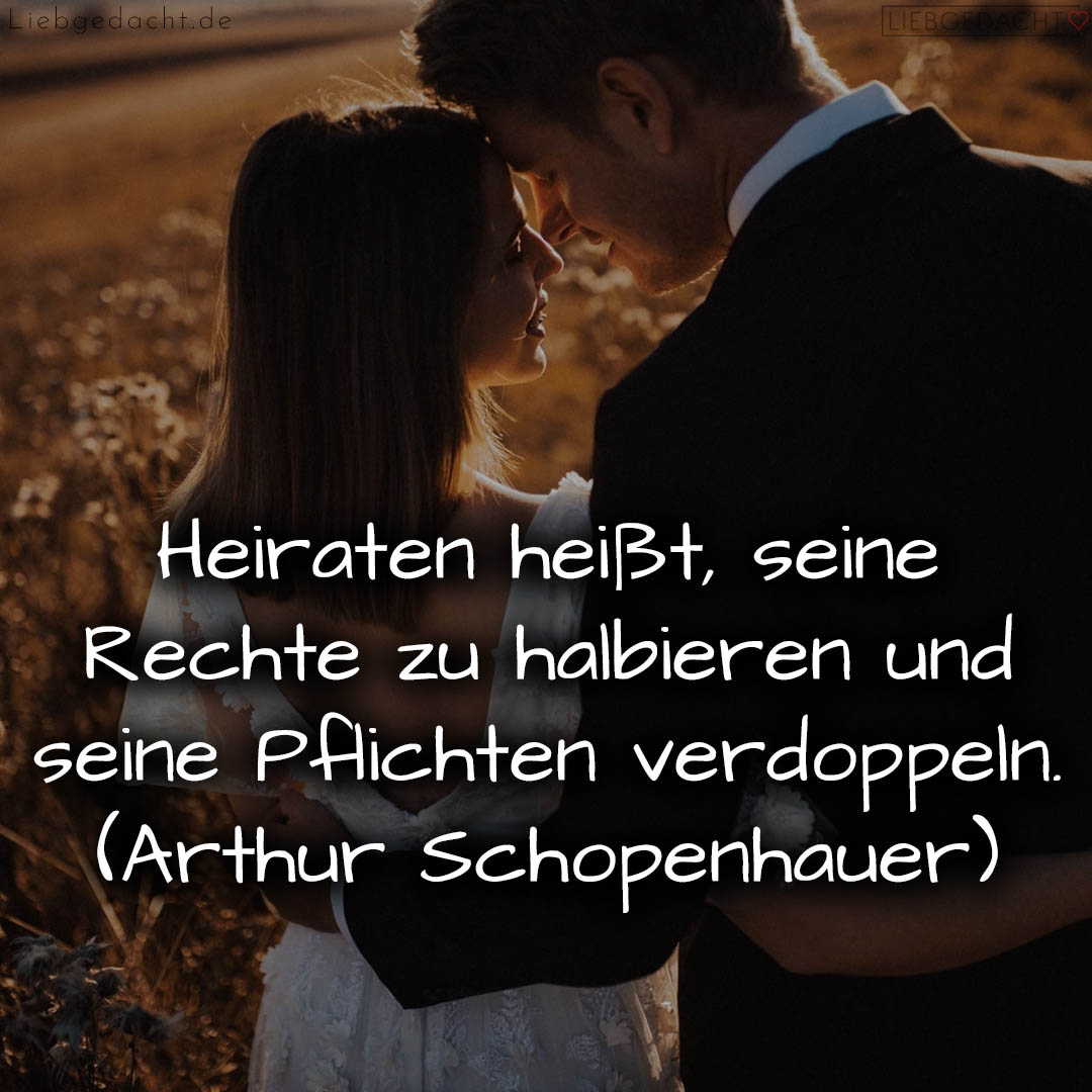 1716377157664dd6458a40b