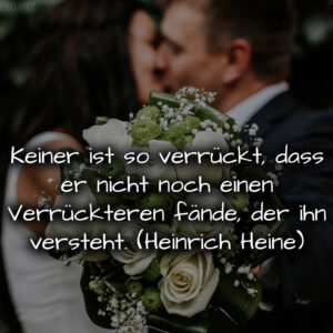 1716377172664dd6545d0b7