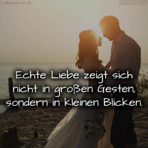 1716377194664dd66a94271