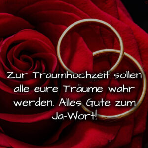 1716377219664dd6838a4f7