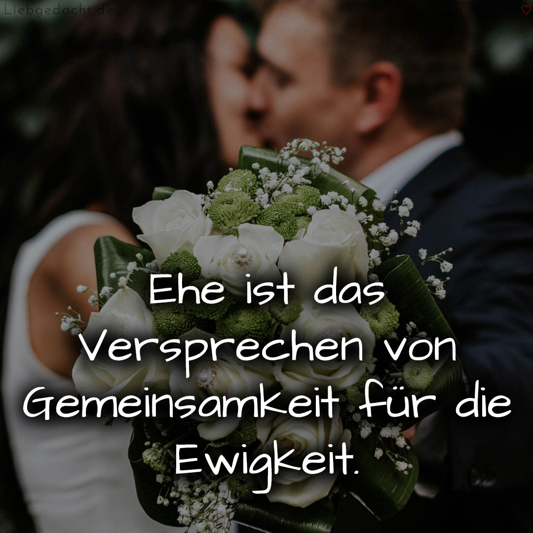 1716377221664dd6858374a