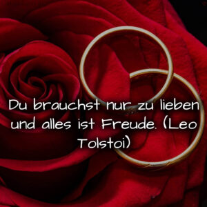 1716377237664dd6959d120