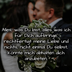 1716377276664dd6bc7456e