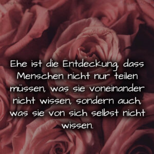 1716377278664dd6be6b8eb