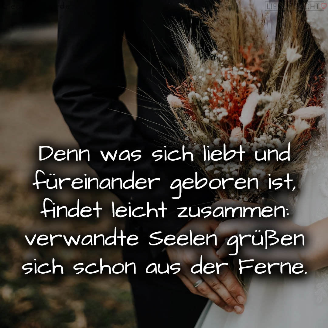 1716377300664dd6d416862