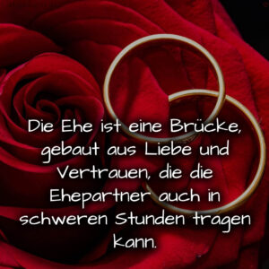 1716377306664dd6da81dc4