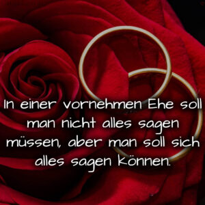 1716377327664dd6ef6247f