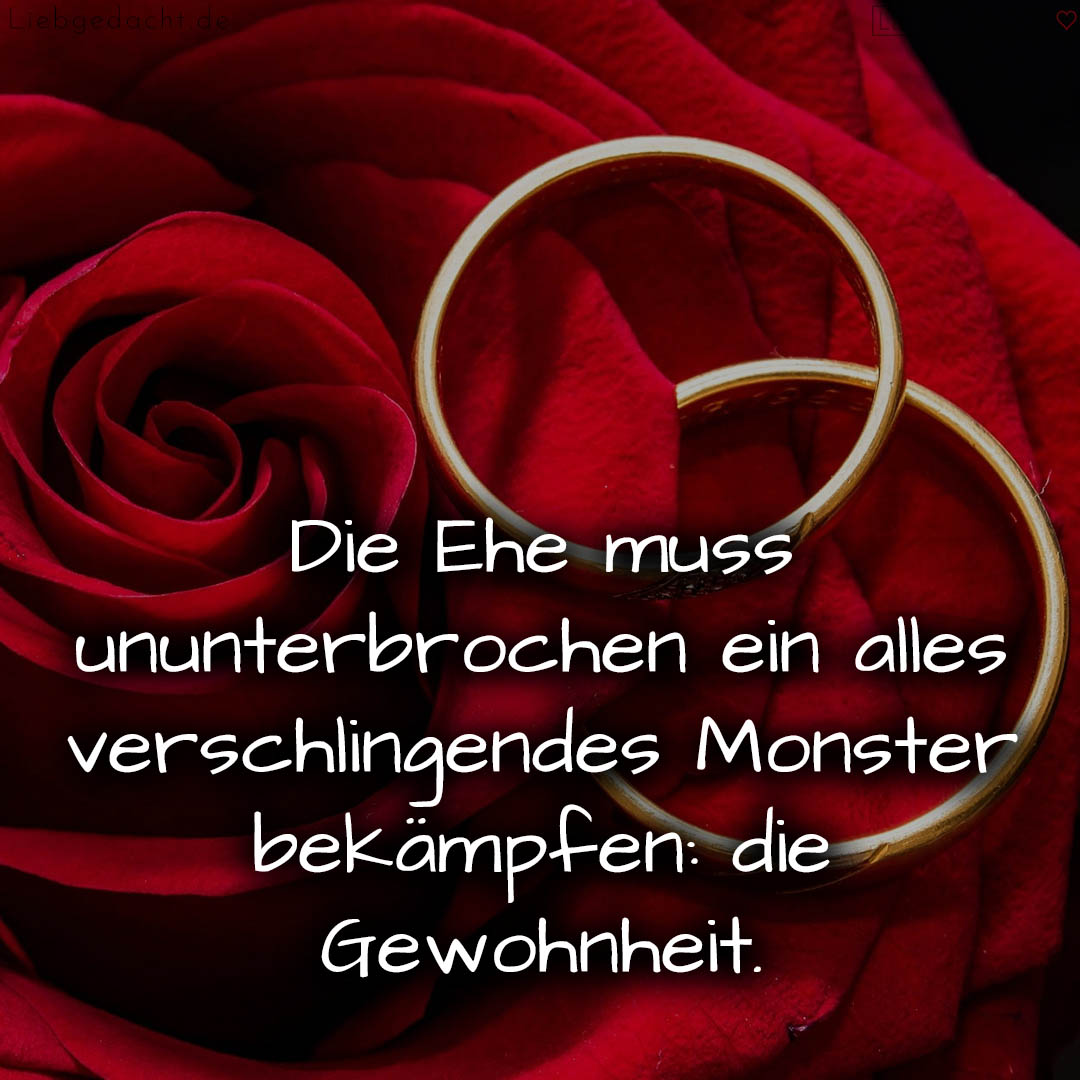 1716377356664dd70ce735e