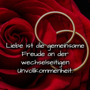 1716377393664dd731d1f75