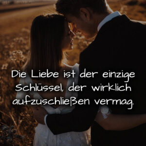 1716377395664dd7333e8c8