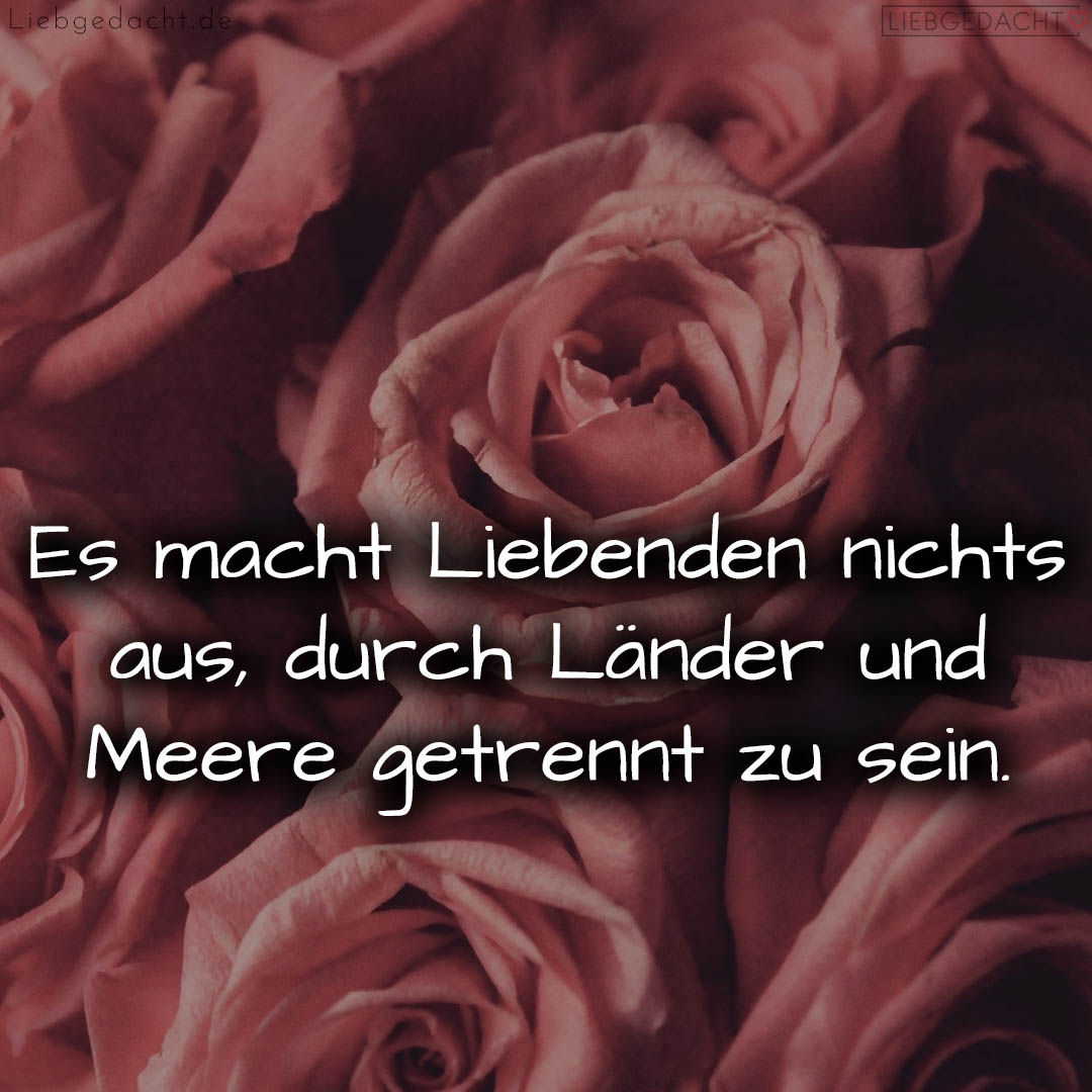 1716377400664dd738b6c43