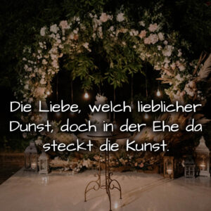 1716377405664dd73da7843