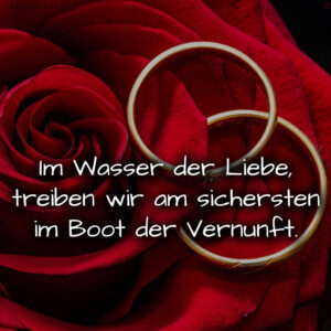 1716377415664dd7477d383