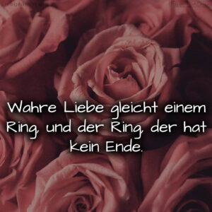 1716377423664dd74f2aef6