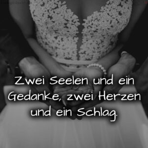 1716377441664dd76179922