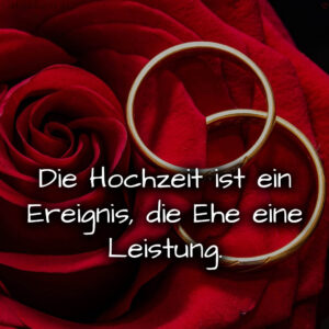 1716377449664dd7696cf38