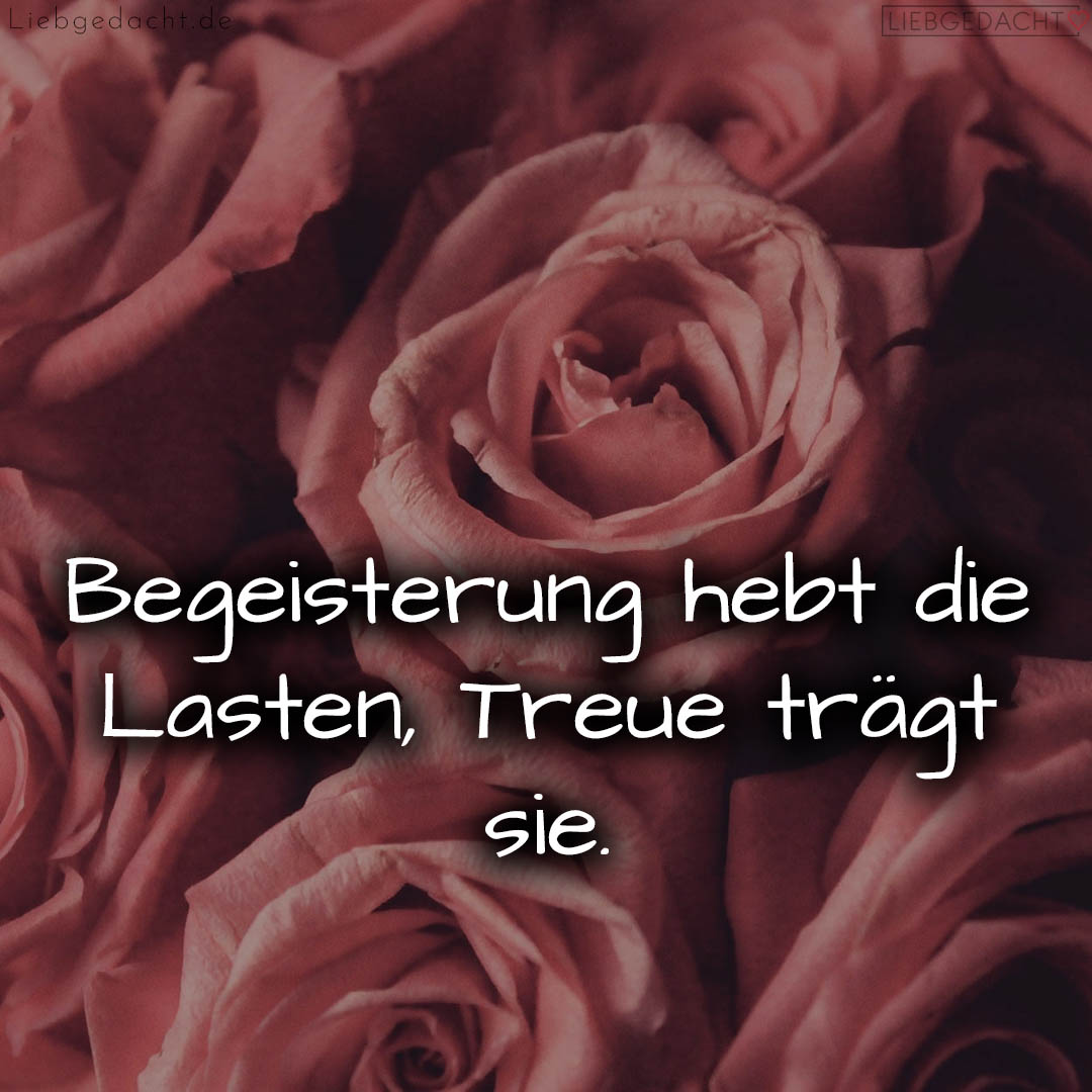 1716377465664dd7796f8f4