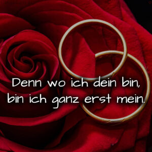 1716377467664dd77b7d5e7