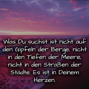 1716377488664dd79057968