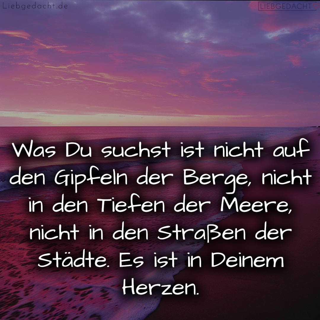 1716377488664dd79057968