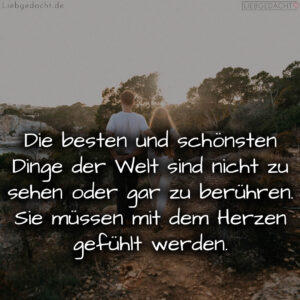 1716377490664dd792c25bb