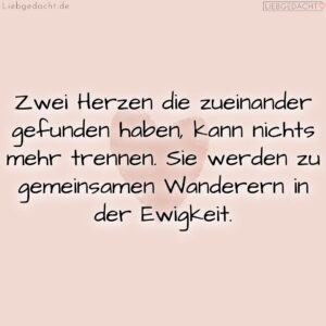 1716377492664dd794e113d