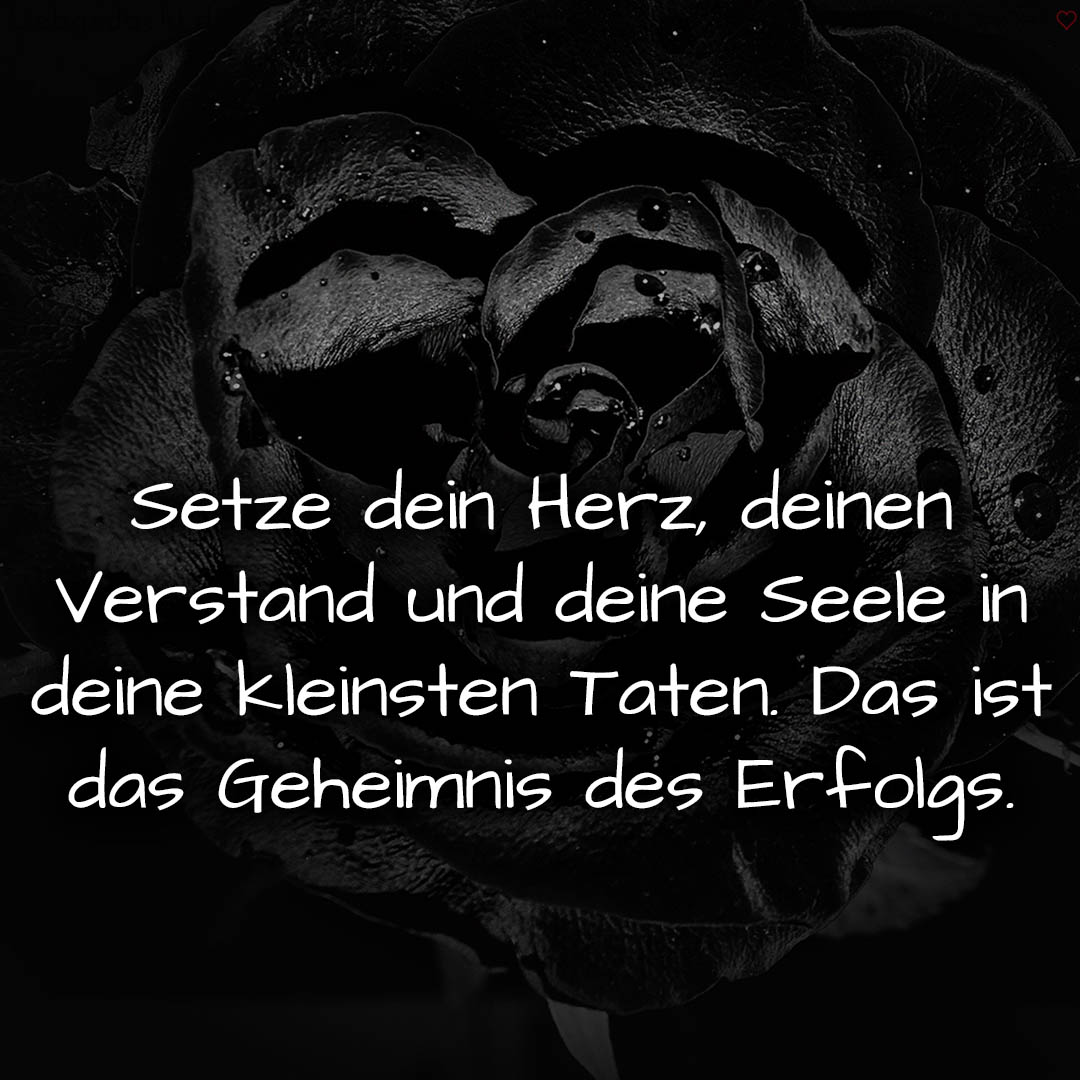 1716377500664dd79cf3077