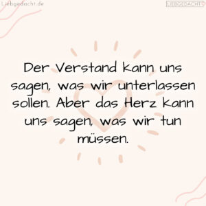 1716377502664dd79ebc8f8