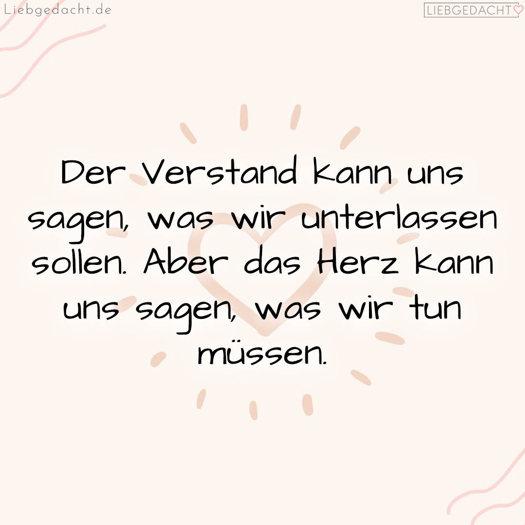 1716377502664dd79ebc8f8