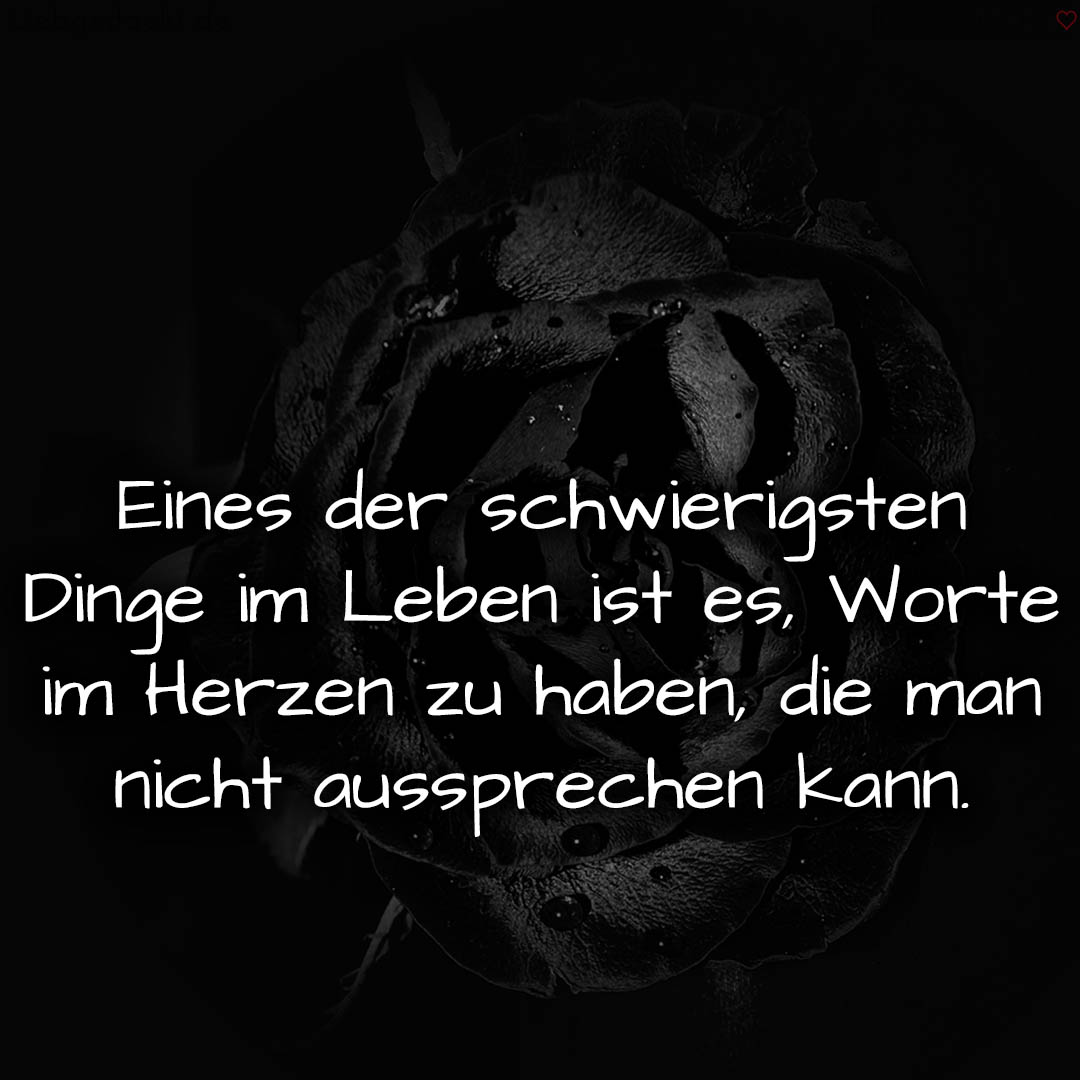 1716377506664dd7a28b5e2