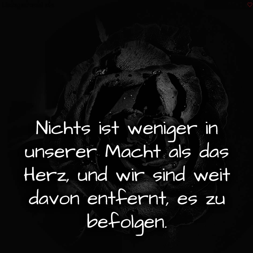 1716377512664dd7a8ee589