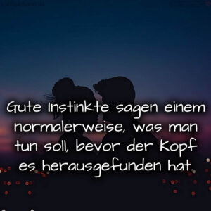 1716377517664dd7ad7b72d