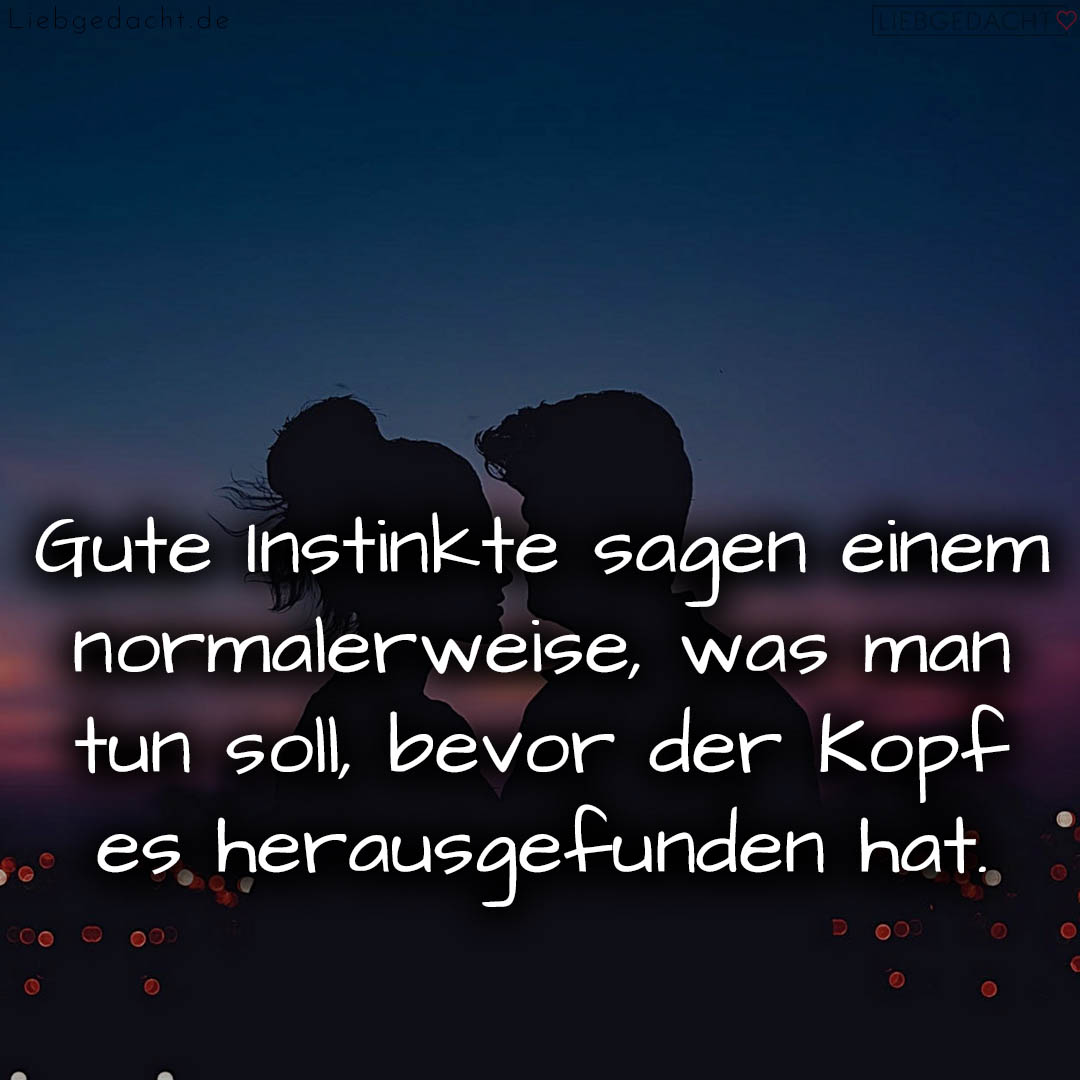 1716377517664dd7ad7b72d